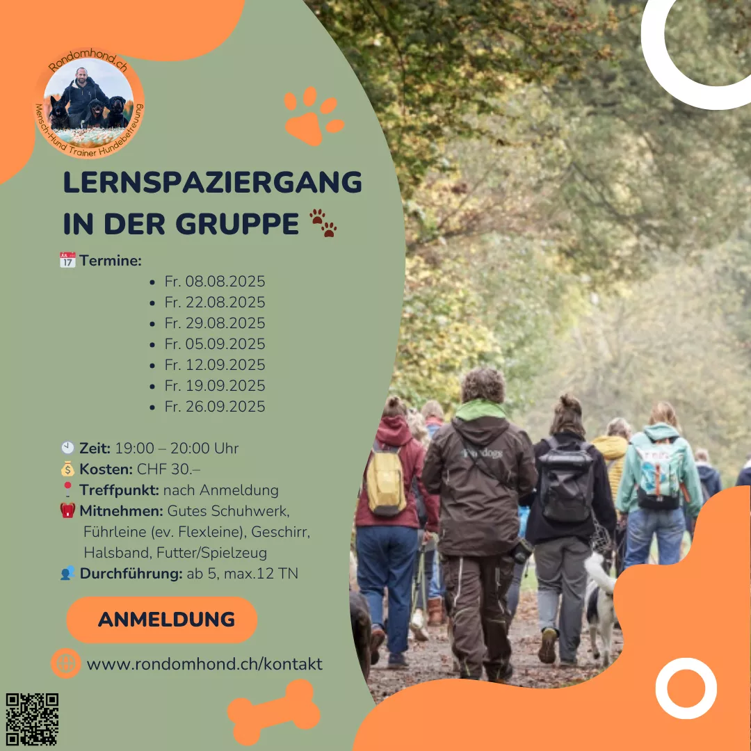 Flyer, Lernspaziergang in der Gruppe