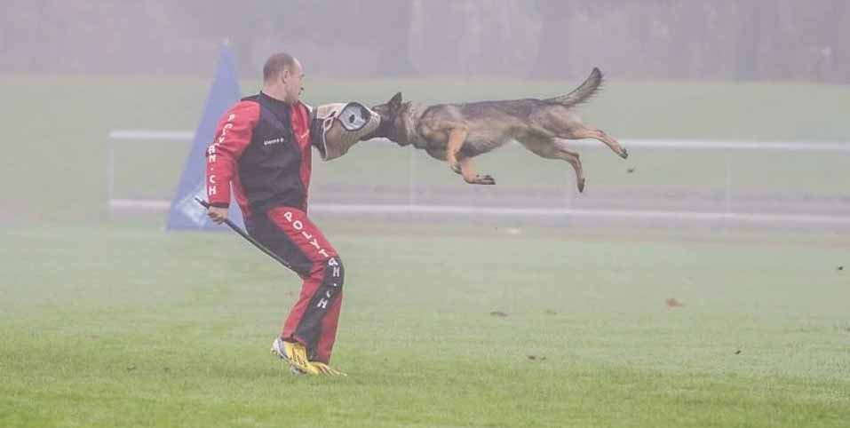 fb-img-1494915551035