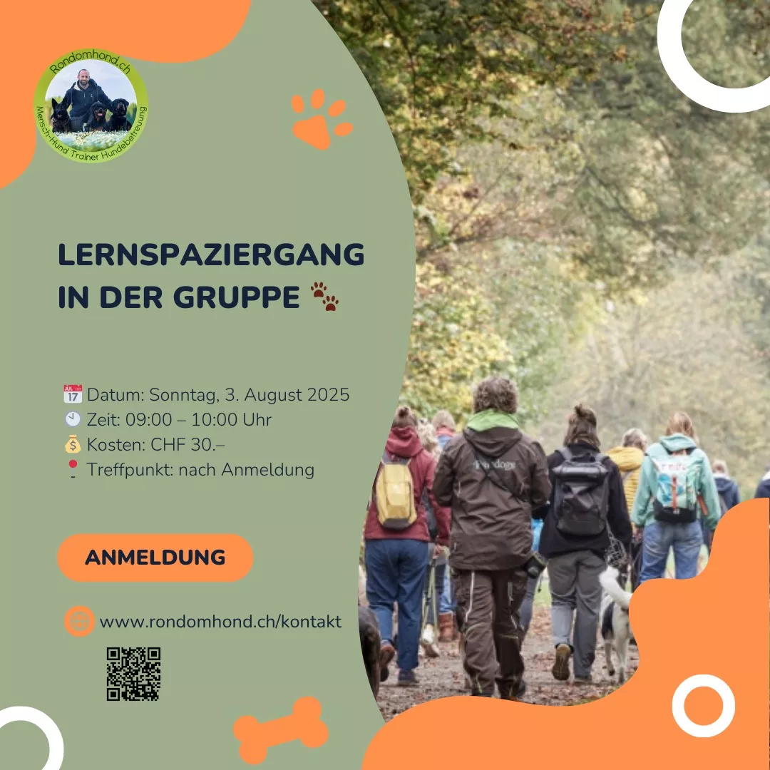 Hundeausbildung Workshops 2025