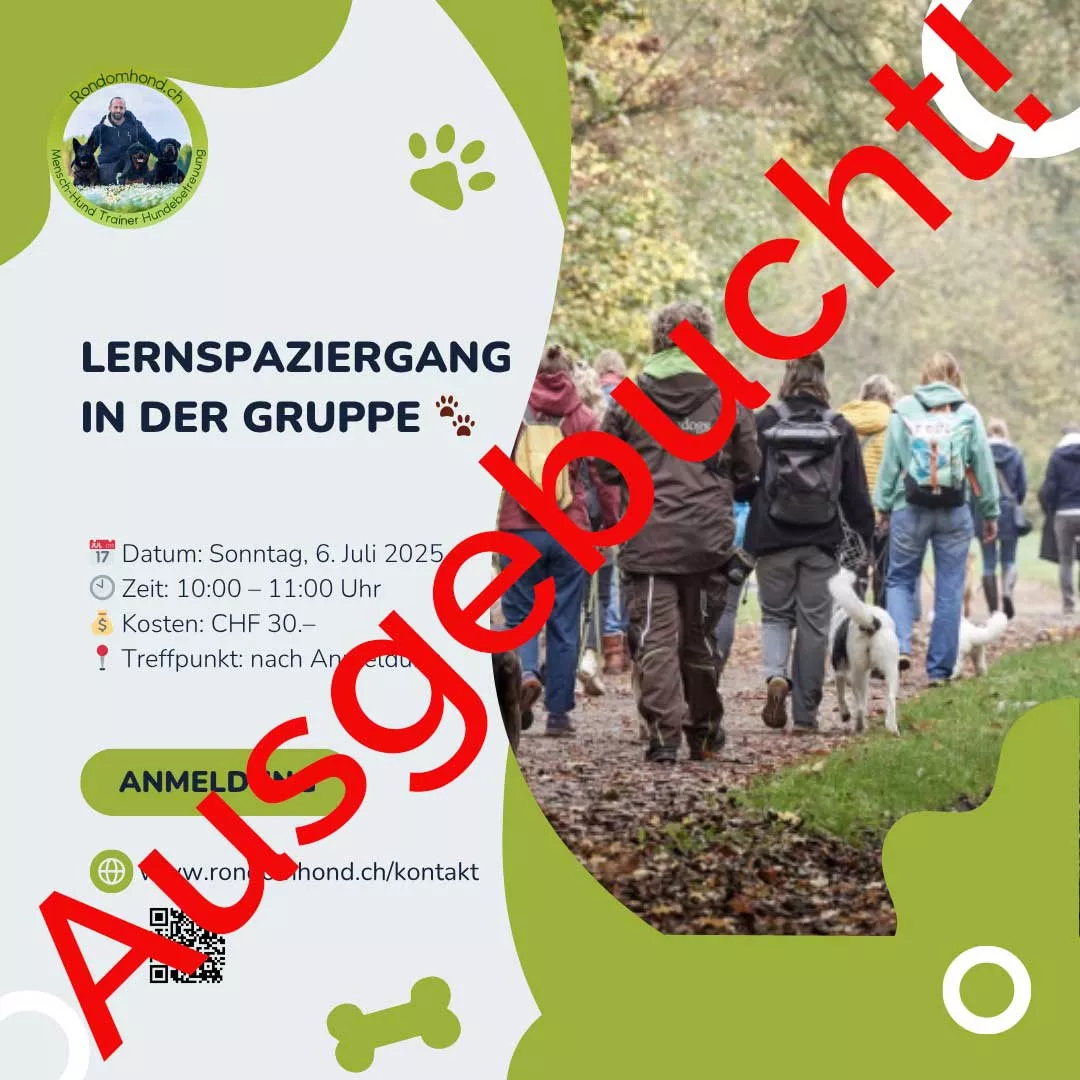 Flyer Hundeausbildung Workshops 2025