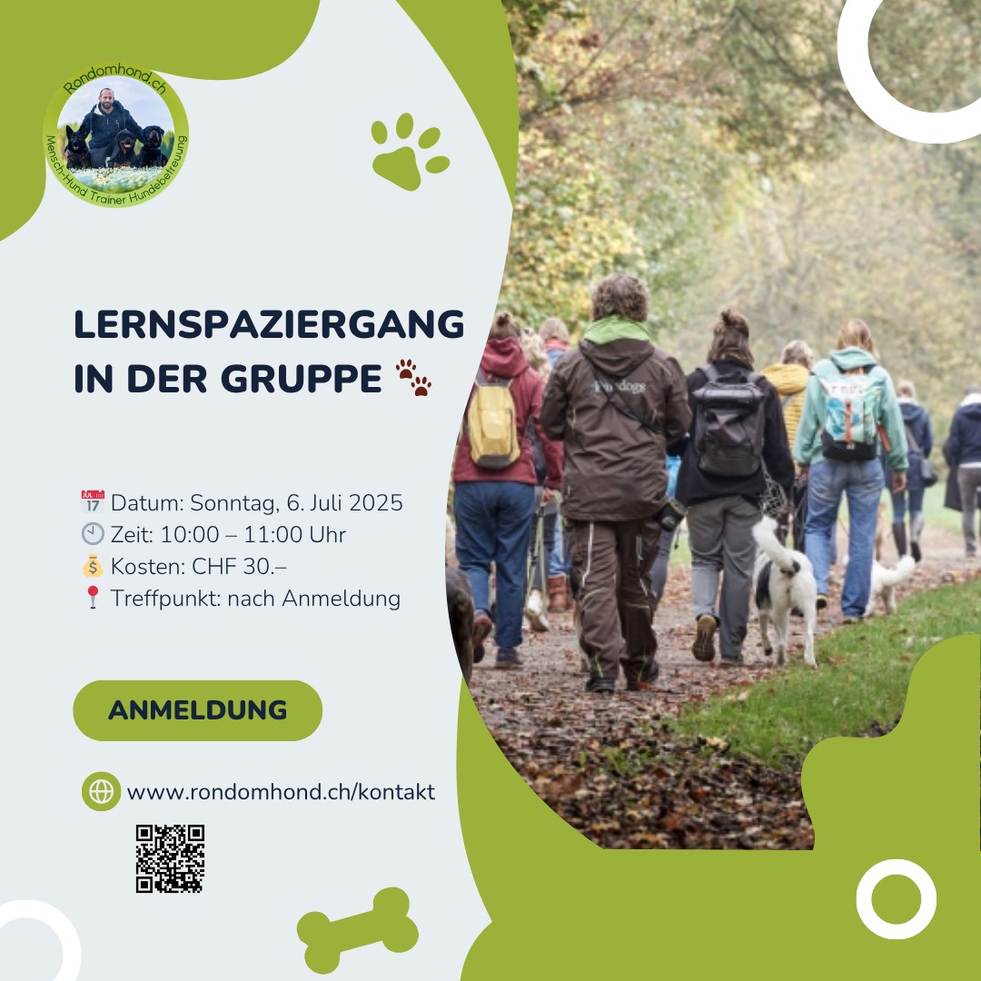 Flyer Hundeausbildung Workshops 2025