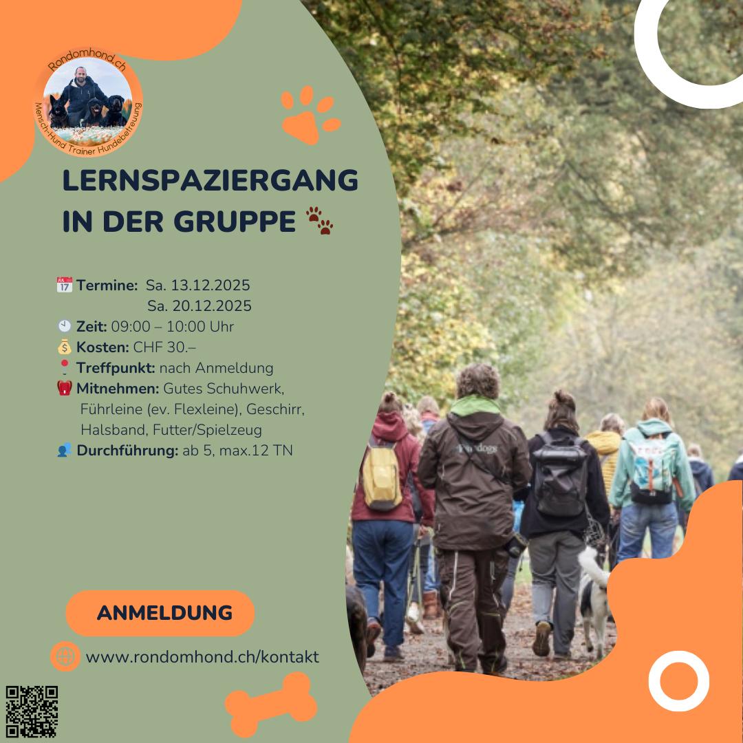 Flyer Lernspaziergang Dezember